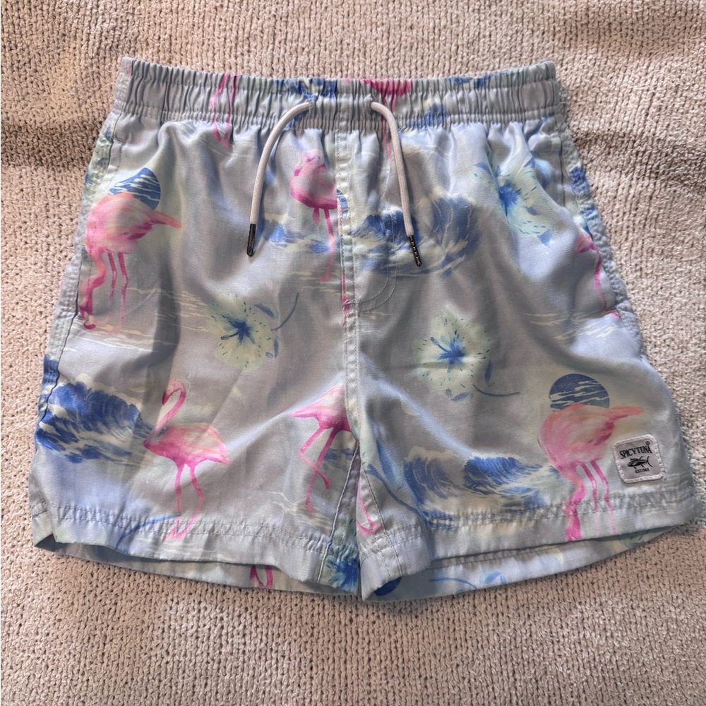 Light Blue Flamingo Print Swim Shorts